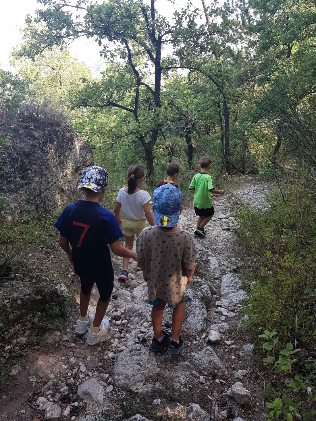 Camping de la Colline 3 étoiles★★★