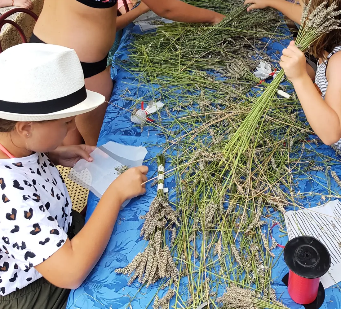 Camping de la Colline 3 étoiles★★★