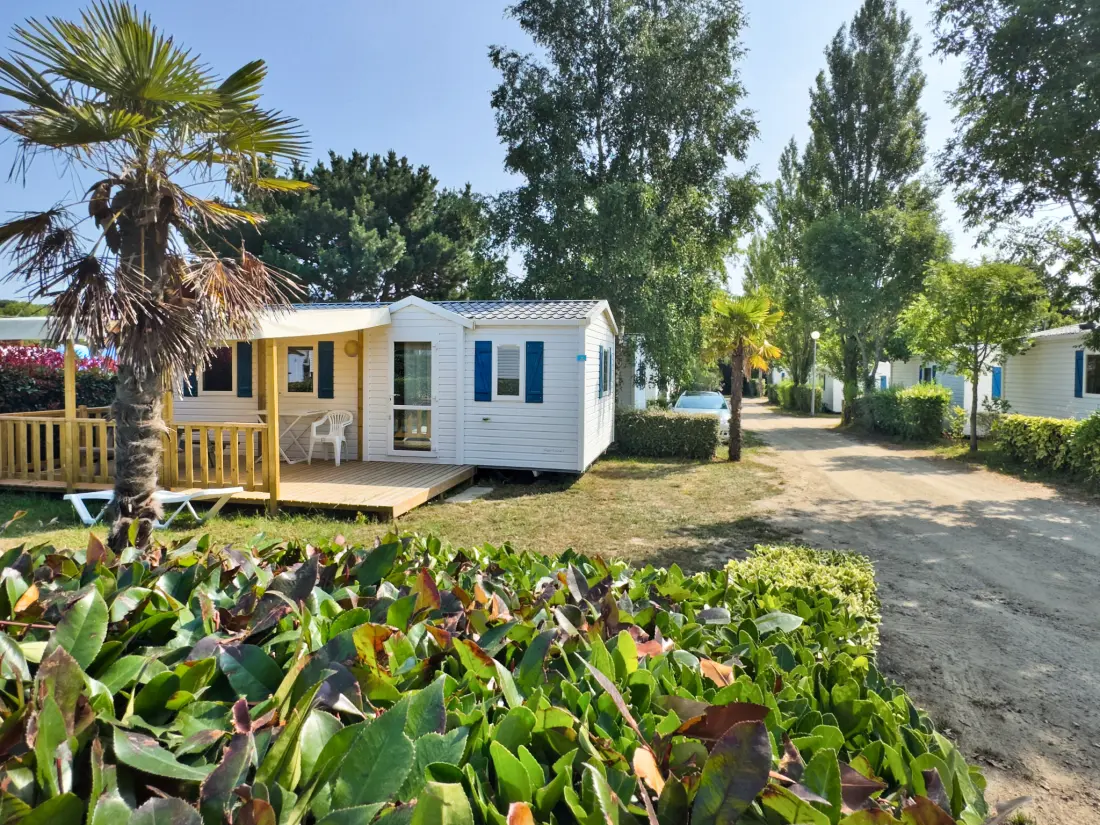 Camping Paradis les Palmiers 3 étoiles★★★
