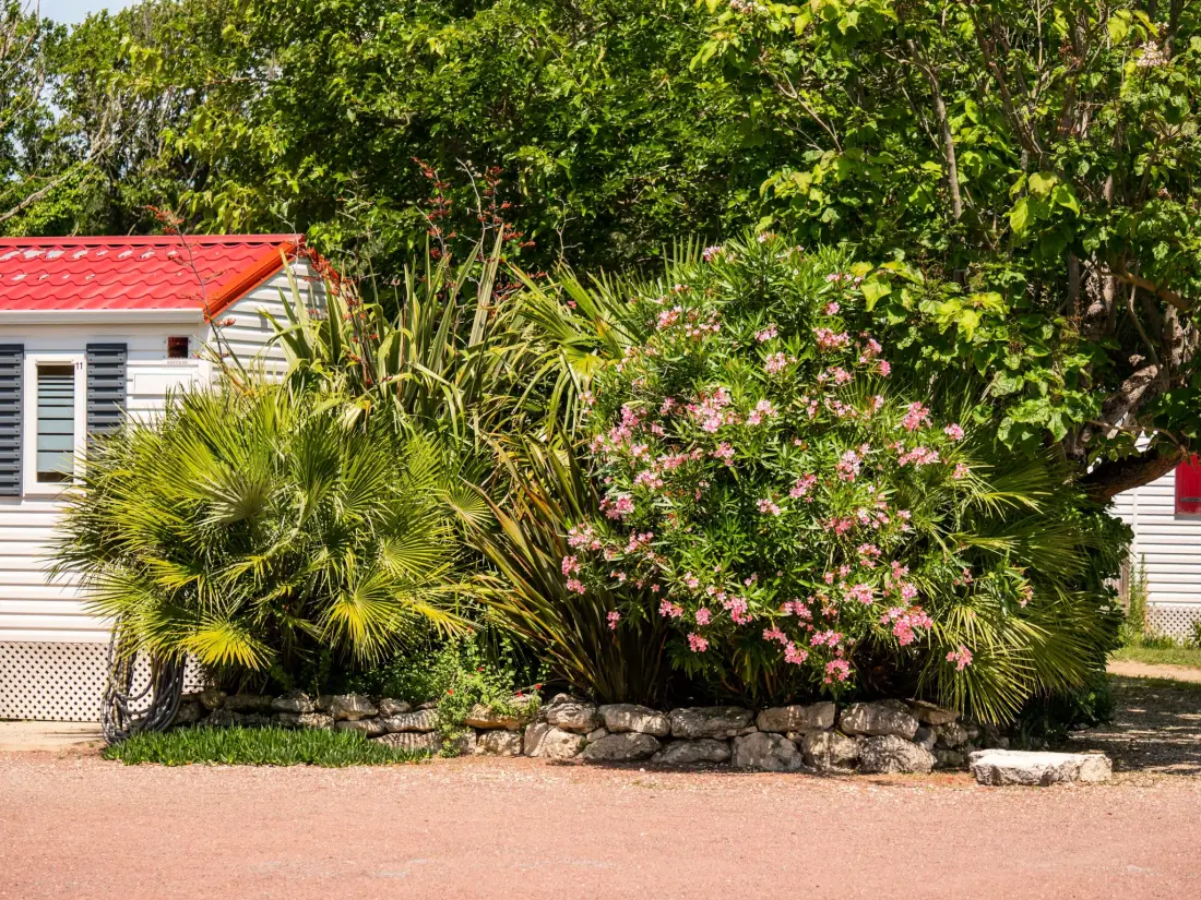 Camping Les Cupressus 3 étoiles★★★