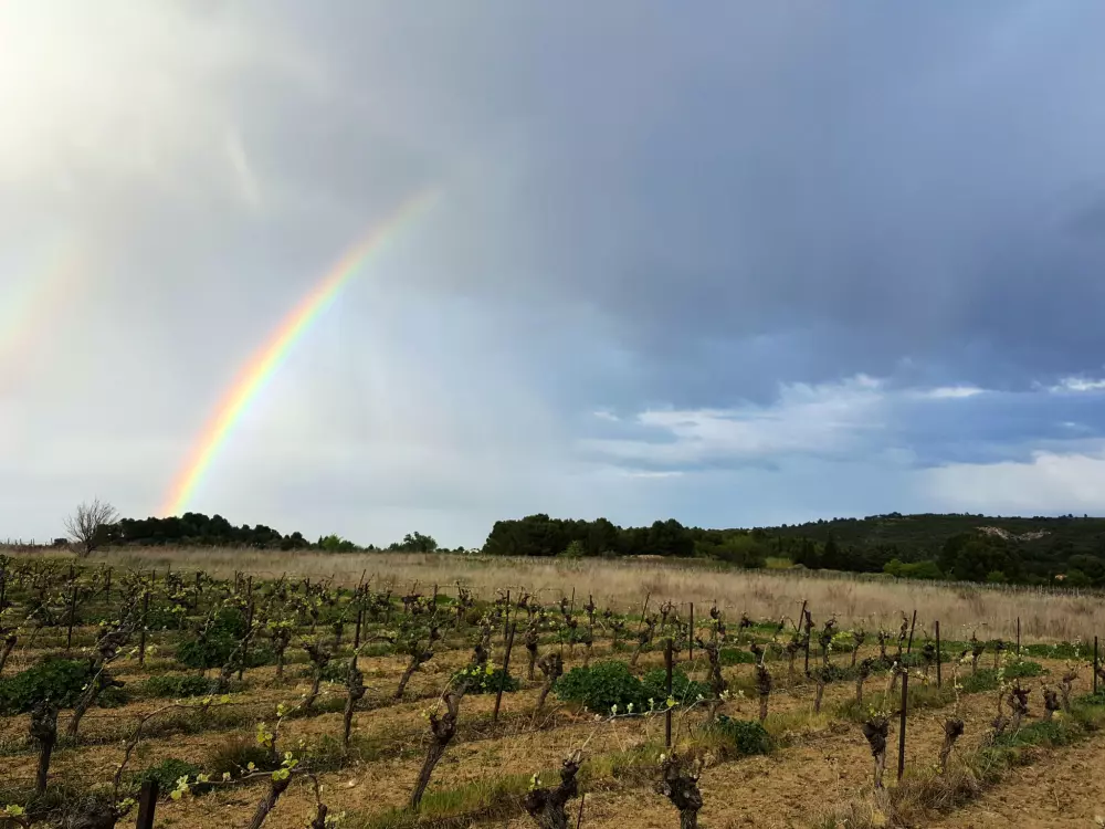 Résidence Corsaires 63