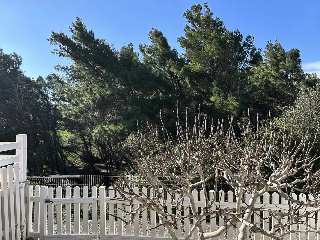 Résidence Hauts D'azur