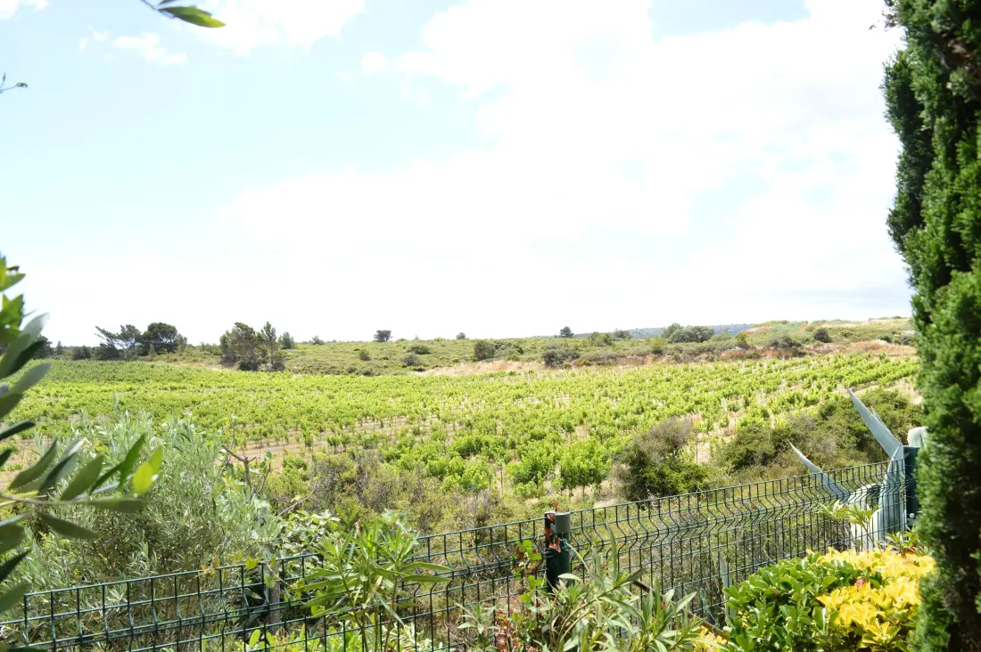 Résidence Les Mas De La Garrigues