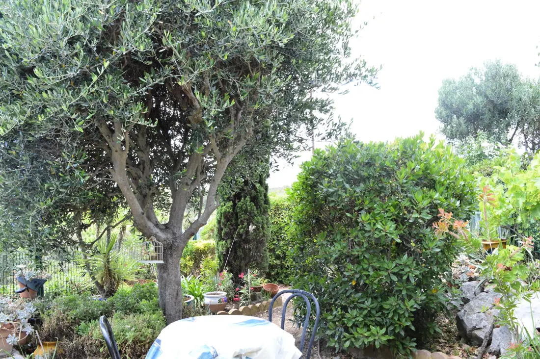 Résidence Les Mas De La Garrigues