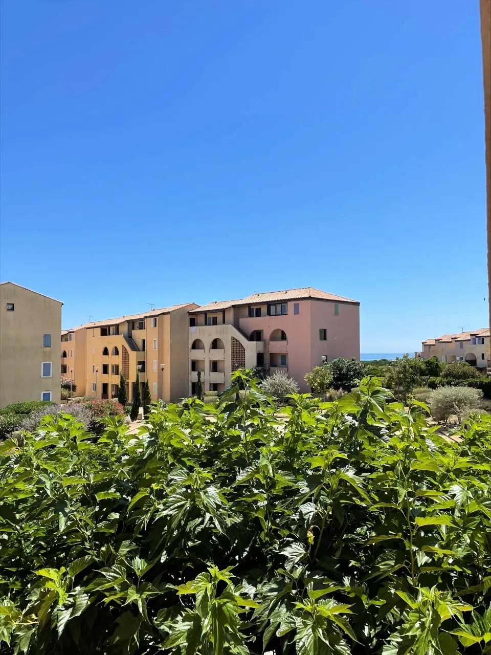 Résidence Terrasses De La Mediterranee