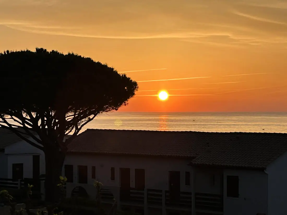 Résidence Terrasses De La Mediterranee