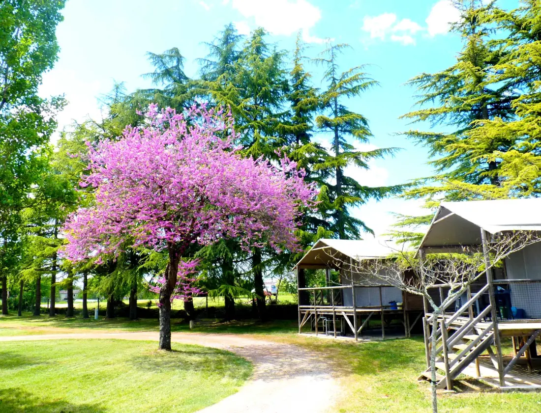 Camping Quercy Vacances 4 étoiles★★★★