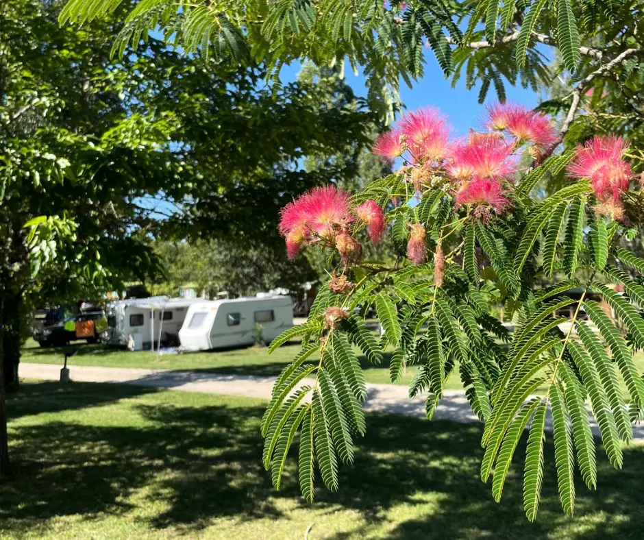 Camping Quercy Vacances 4 étoiles★★★★