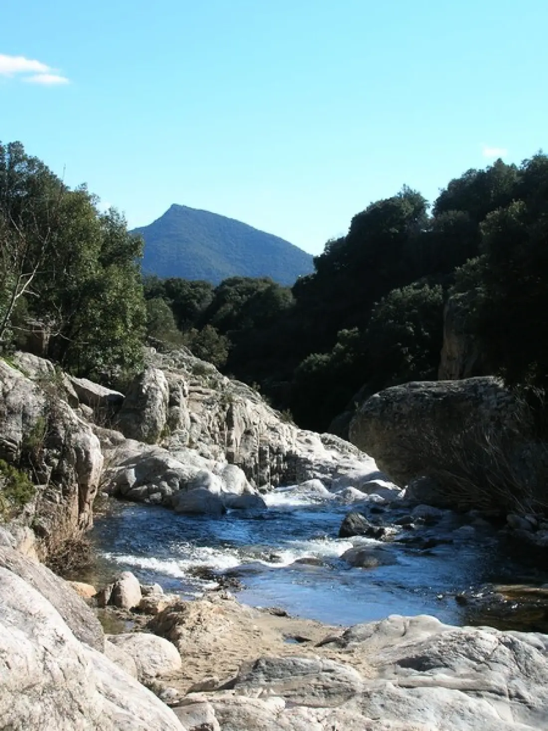 Camping Les Cerisiers du Jaur4 étoiles★★★★