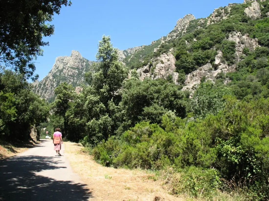 Camping Les Cerisiers du Jaur4 étoiles★★★★