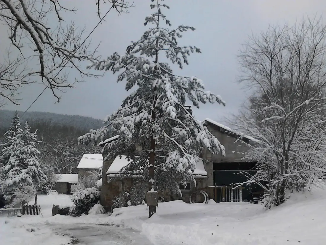 Location de Vacances SAINT-PRIEST-LA-PRUGNE 2