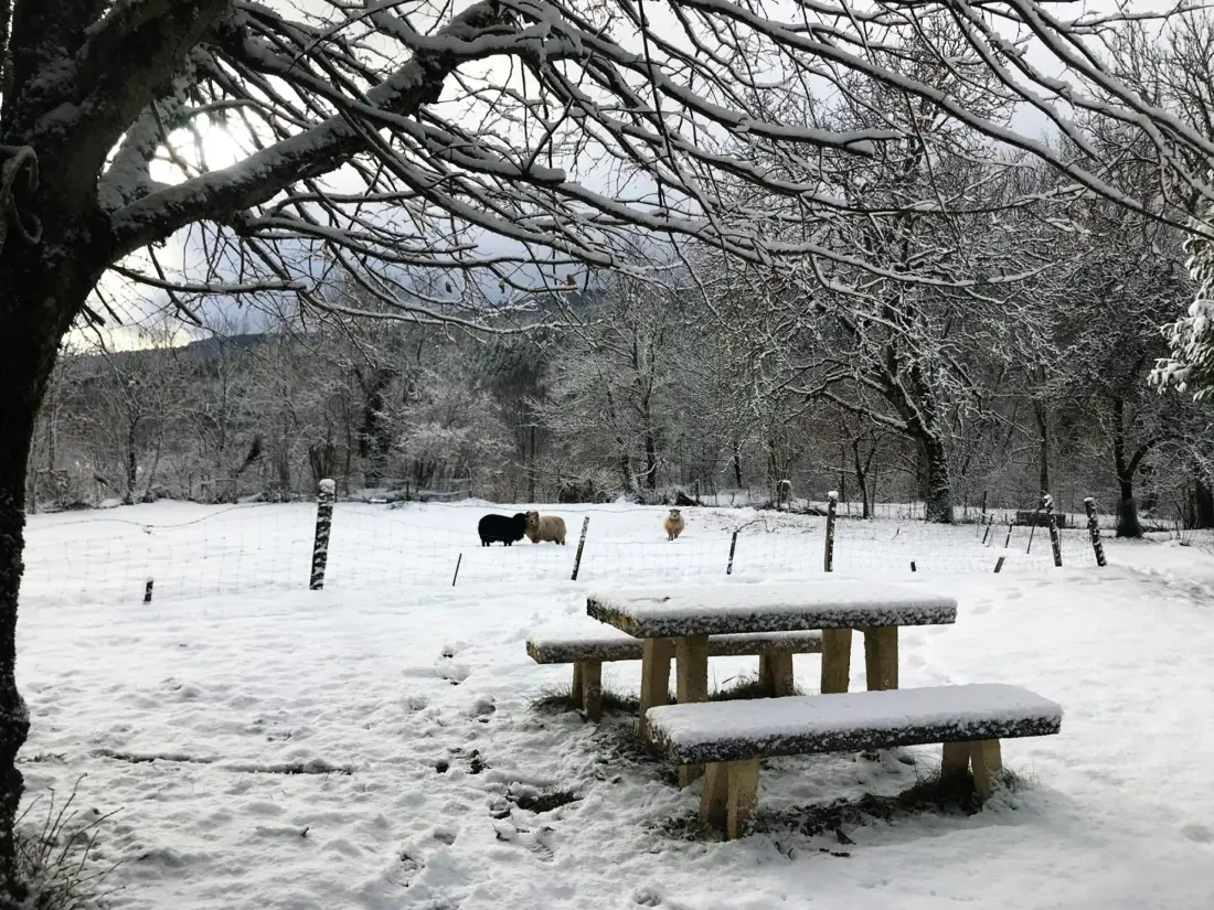 Location de Vacances SAINT-PRIEST-LA-PRUGNE 2