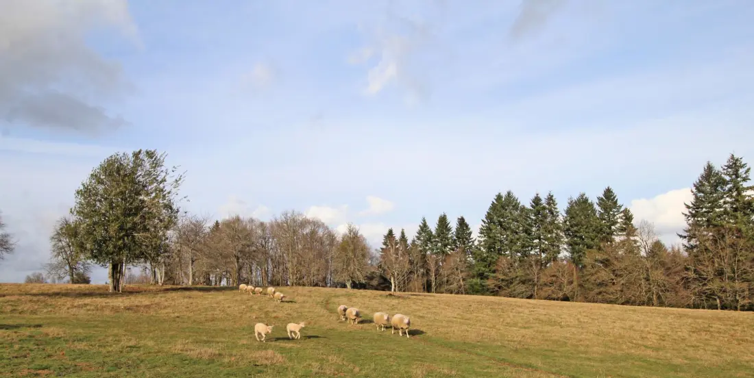 Gîte de France La maison neuve 4 épis