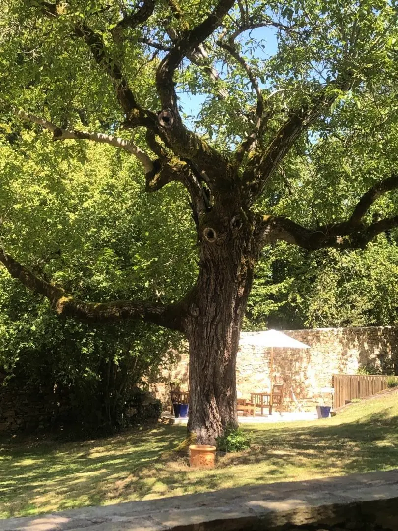 Gîte de France Le logis de la roche 3 épis
