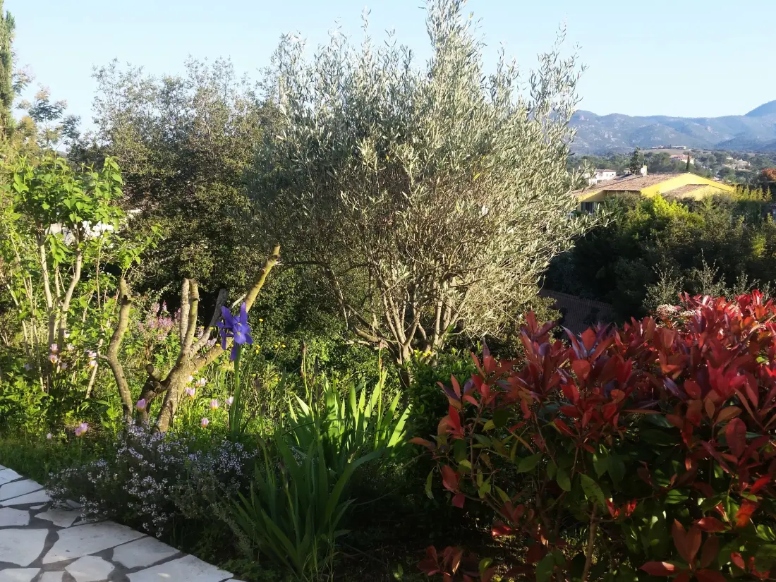 Maison de Vacances Saint Raphaël