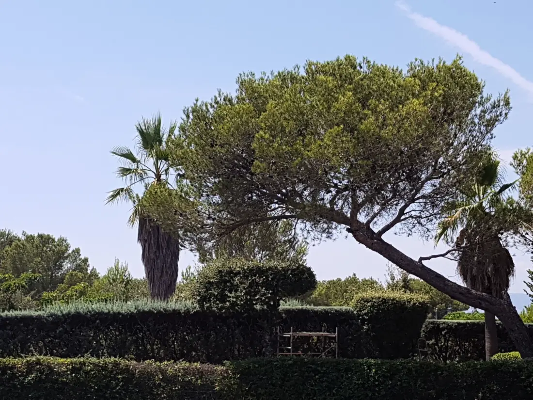 Maison de Vacances Saint Raphaël