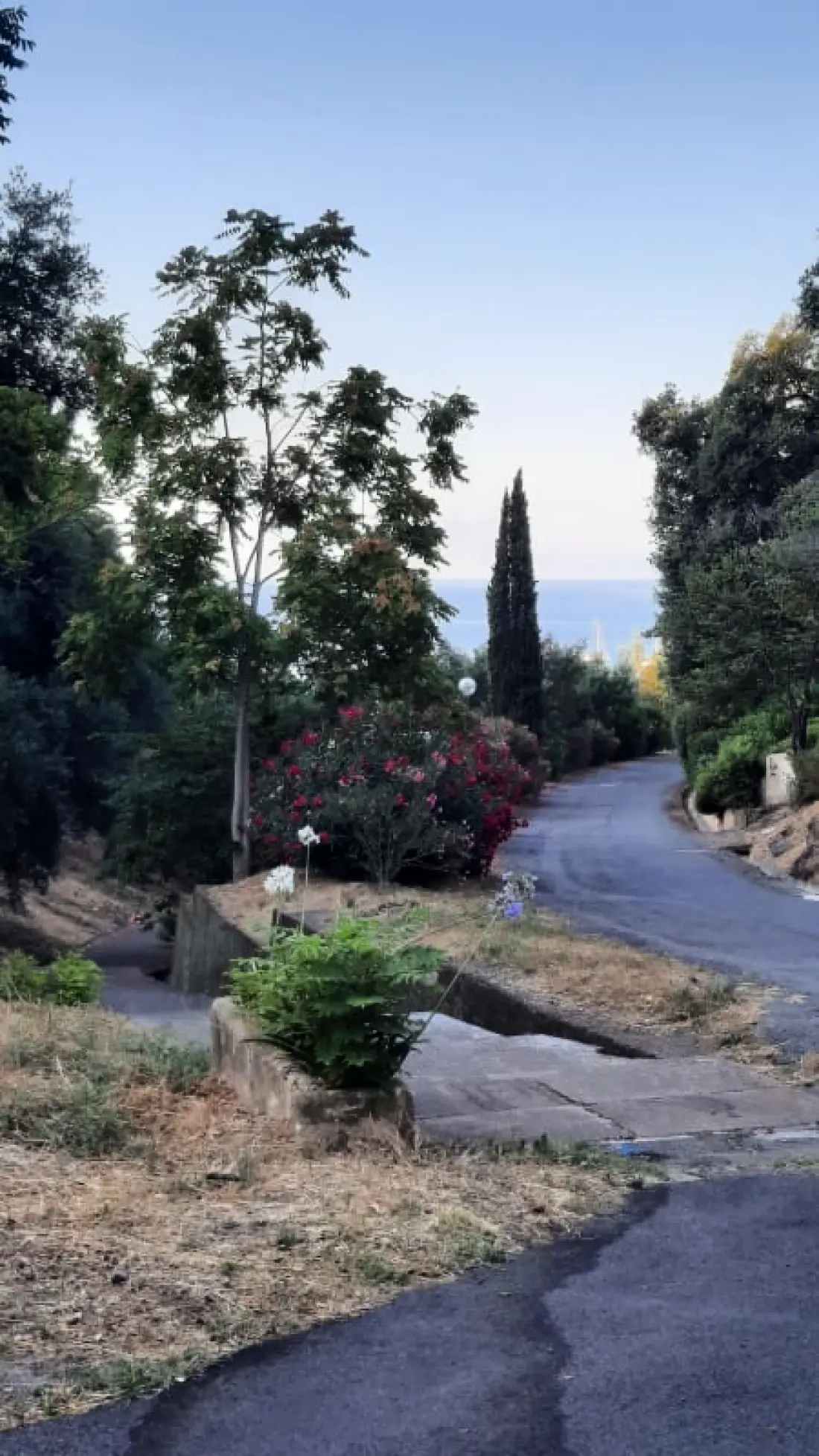 Villa Familiale Dans Un Domaine Arboré Proche Mer