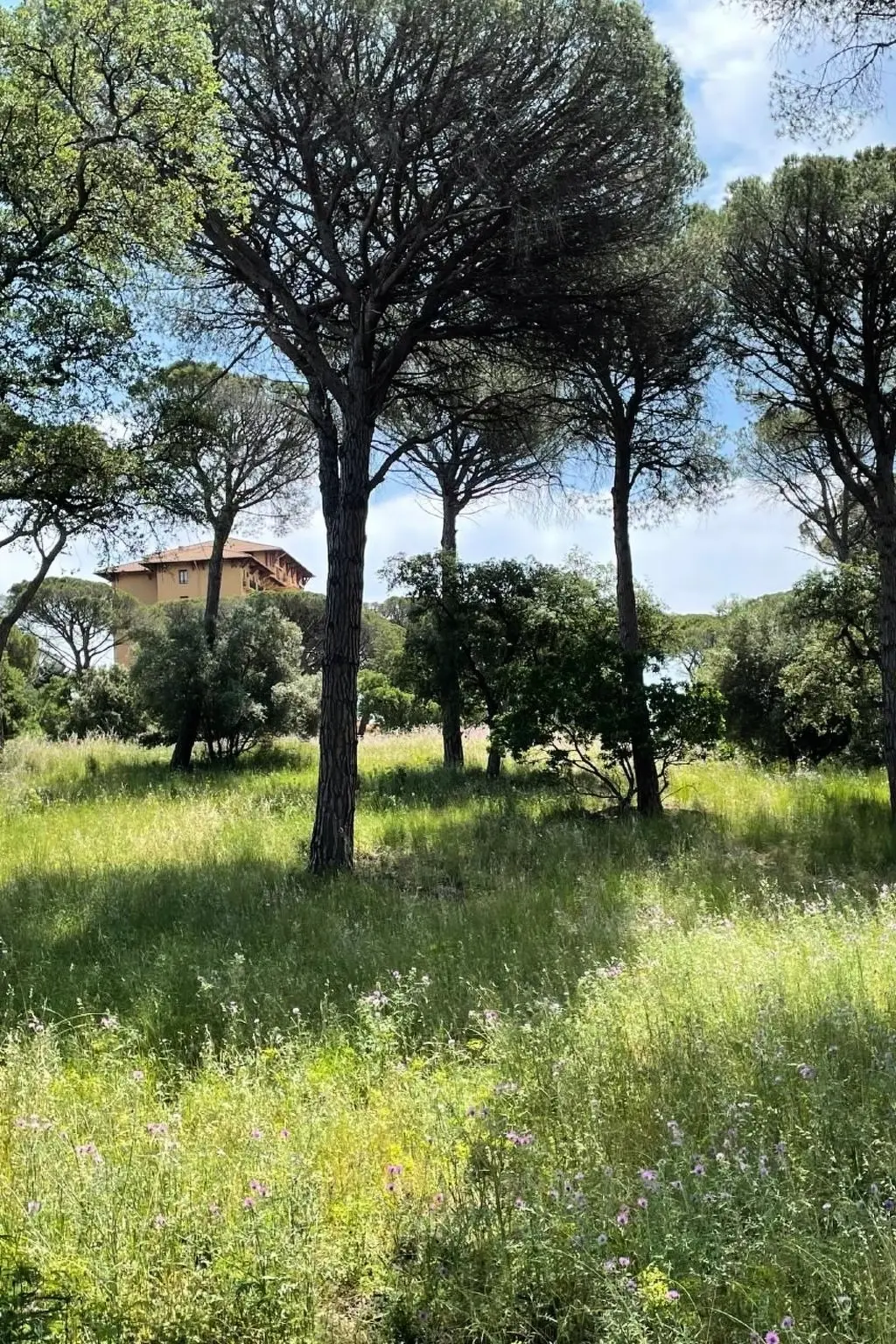 Résidence Grande Maisonette