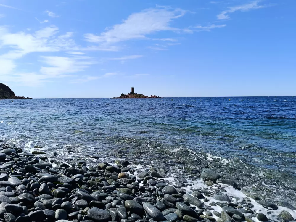 Résidence Résidence Les Sangliers