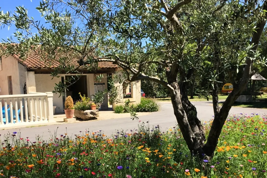 Camping maeva Escapades Pegomas 3 étoiles★★★