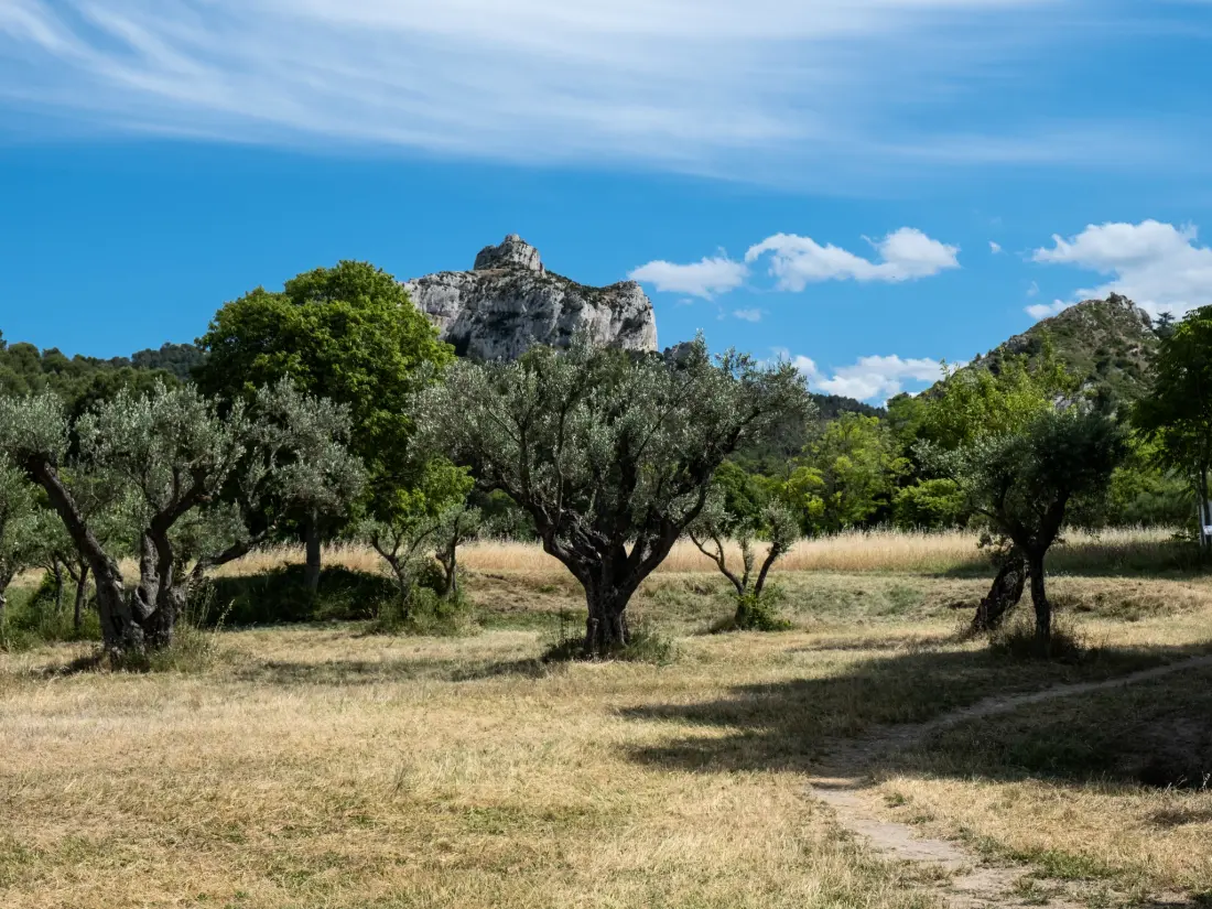 Maison de Vacances Saint Rémy de Provence