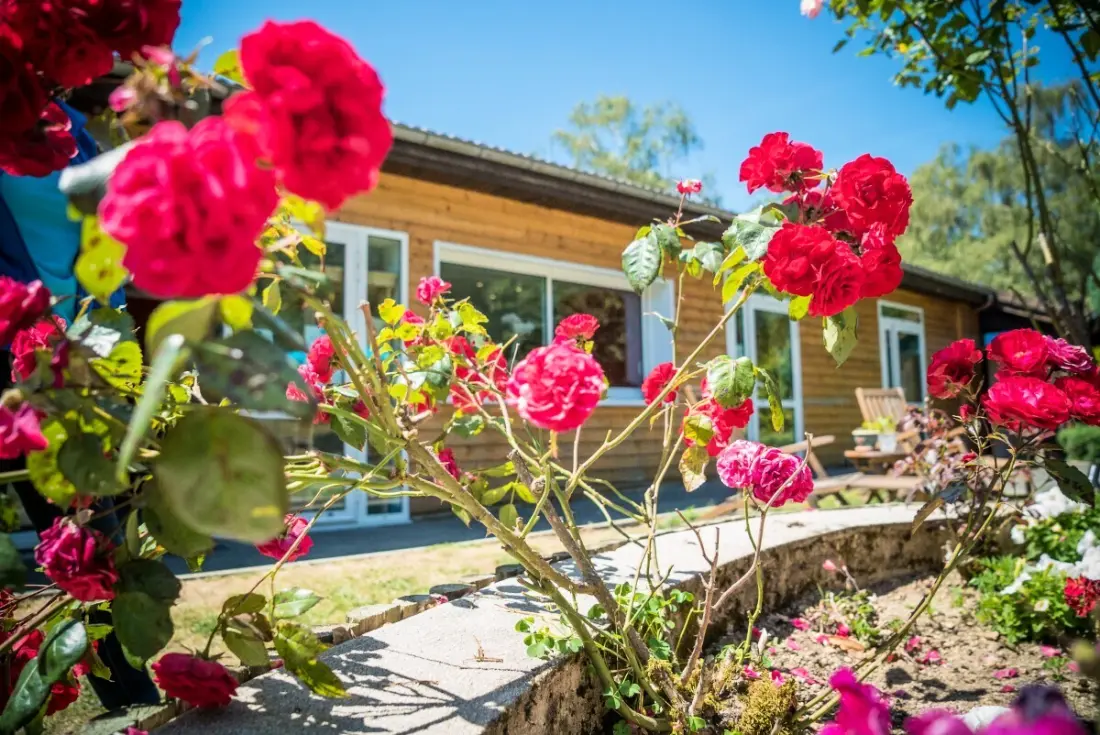 Camping Paradis Les Chanterelles4 étoiles★★★★