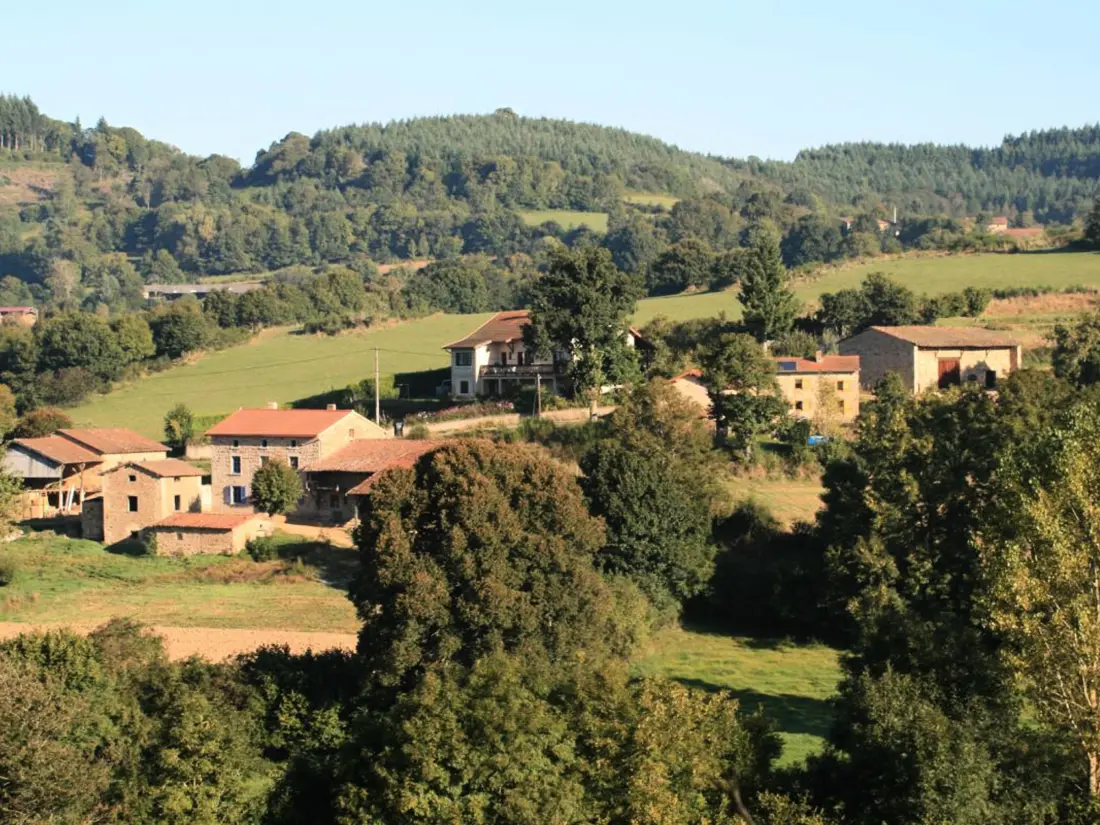 Maison de Vacances SAINT-ROMAIN-D'URFE 2