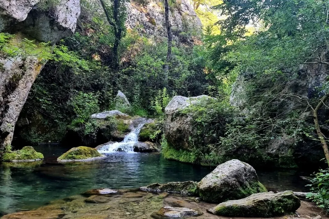 Camping maeva Escapades Le Domaine des Chênes Blancs 3 étoiles★★★
