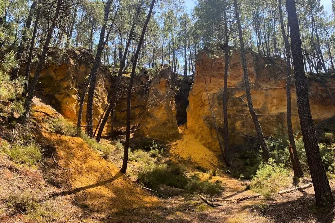Camping maeva Escapades Le Domaine des Chênes Blancs 3 étoiles★★★