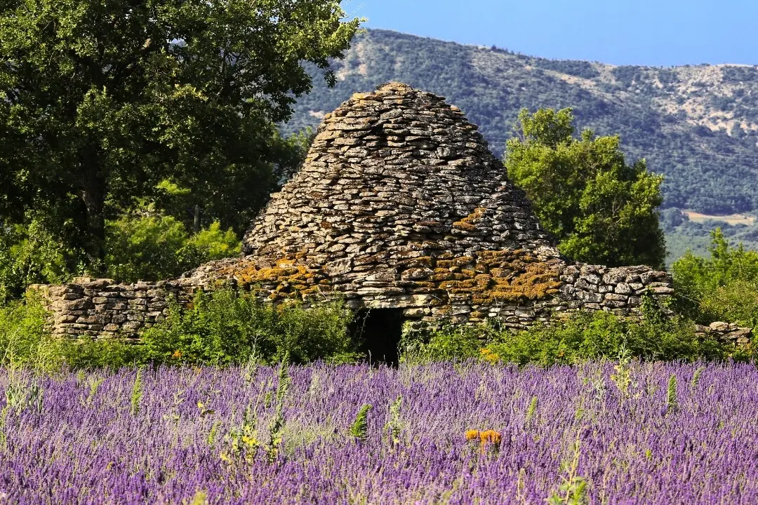 Camping maeva Escapades Le Domaine des Chênes Blancs 3 étoiles★★★
