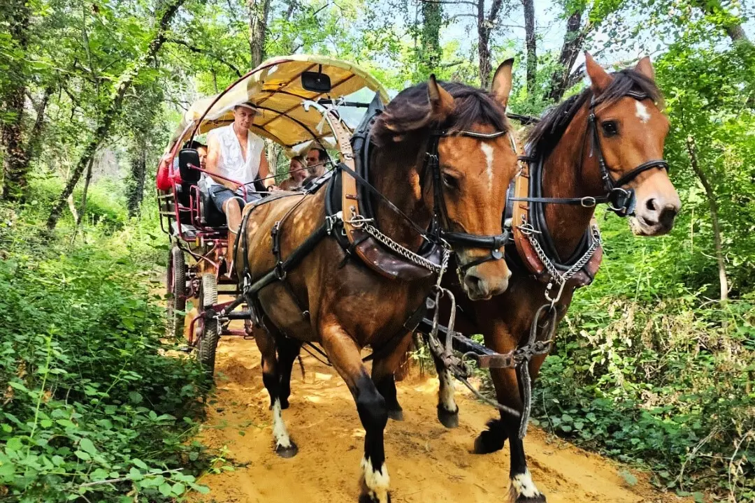 Camping maeva Escapades Le Domaine des Chênes Blancs 3 étoiles★★★