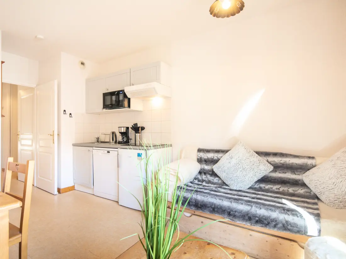 Appartements à Saint-Sorlin-d'Arves