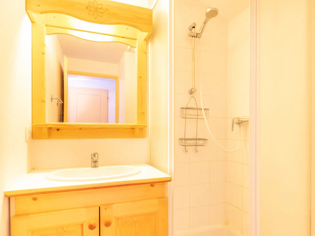 Appartements à Saint-Sorlin-d'Arves