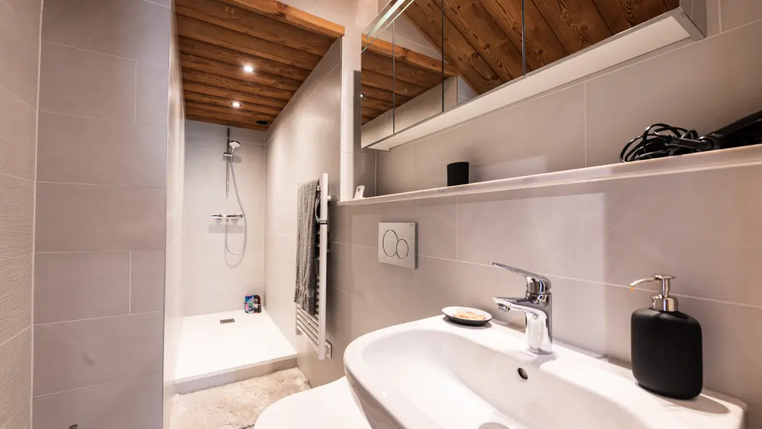 Appartements à Saint-Sorlin-d'Arves