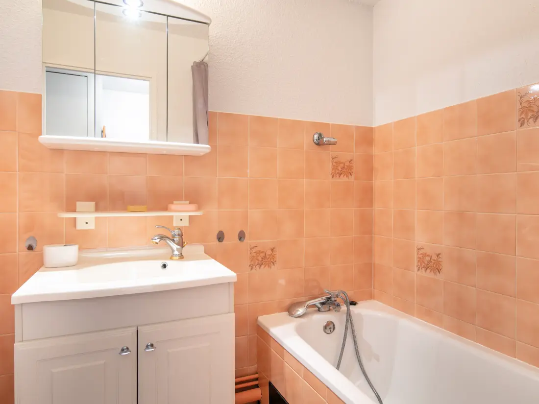 Appartements à Saint-Sorlin-d'Arves