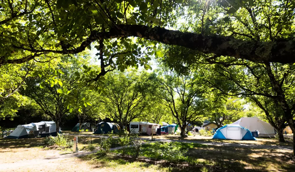 Camping Le Village du Port 4 étoiles★★★★