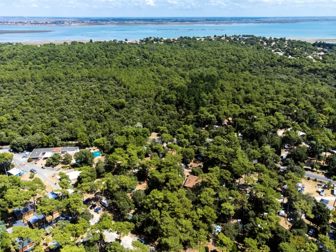 Flower Camping Monplaisir 4 étoiles★★★★