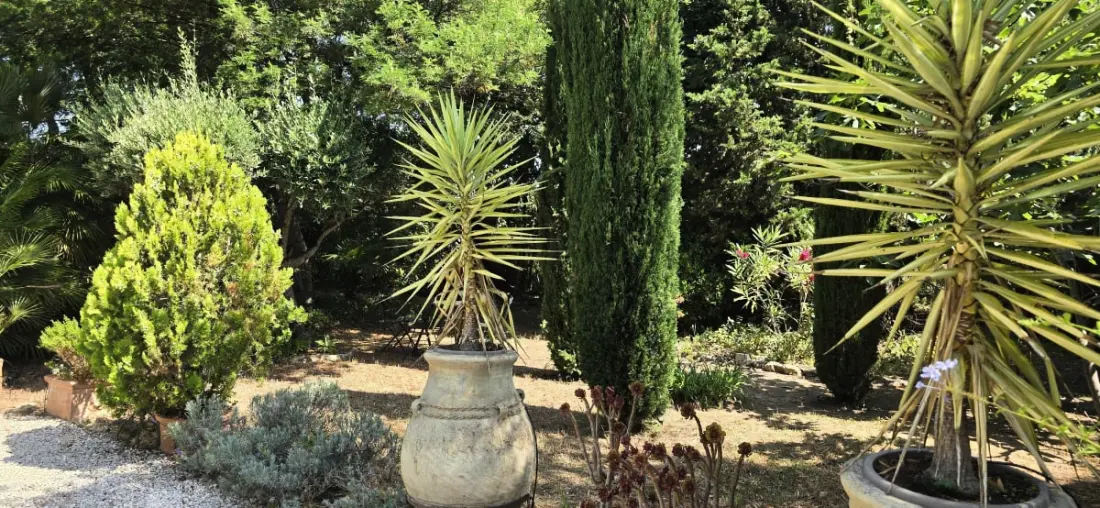 Rez-de-jardin élégant Avec Jacuzzi – Calme