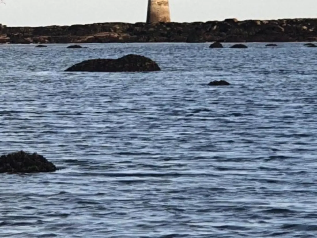 Location de Vacances Saint-Vaast-la-Hougue 11
