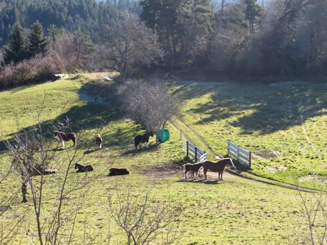 Maison de Vacances Saint-Vert 2