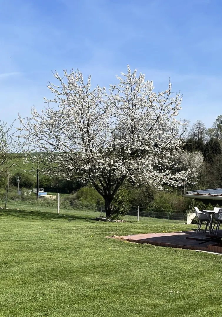 Gîte de France Gîtes de france® - l'humesnil 2 épis