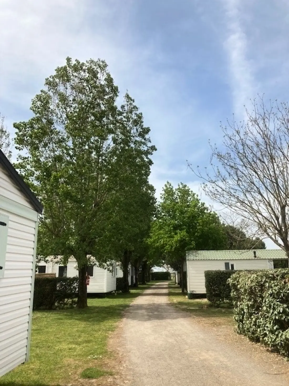 Camping L'R Pur 1 étoiles★
