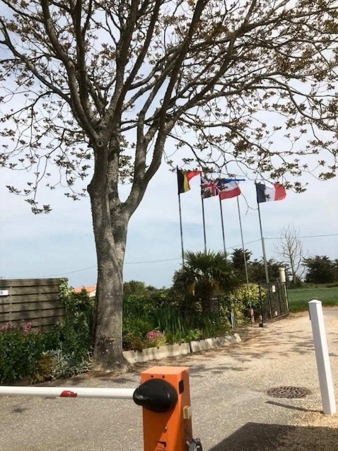Camping L'R Pur 1 étoiles★