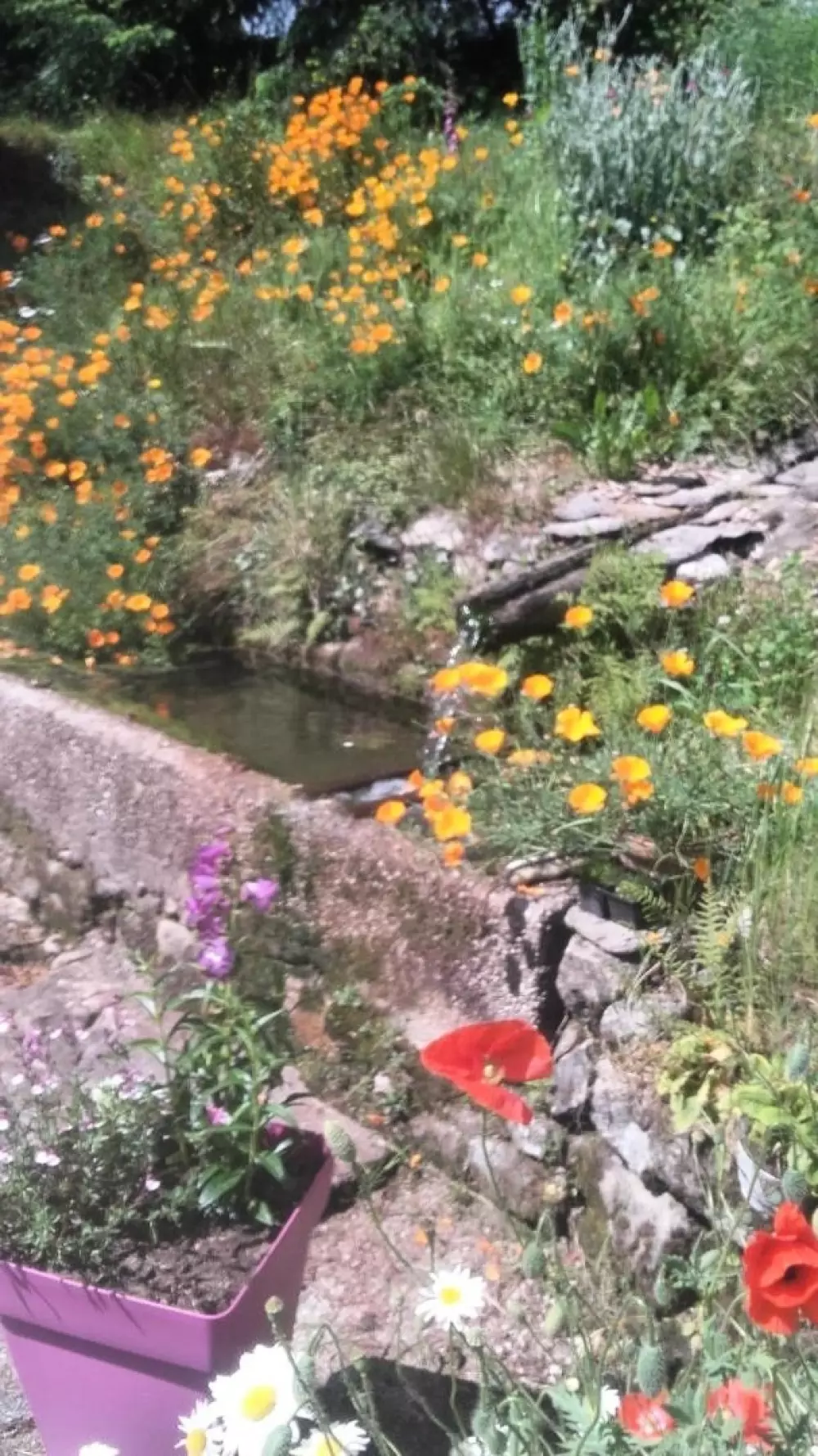 Gîte de France à Saint-Yrieix-le-Déjalat 3 épis