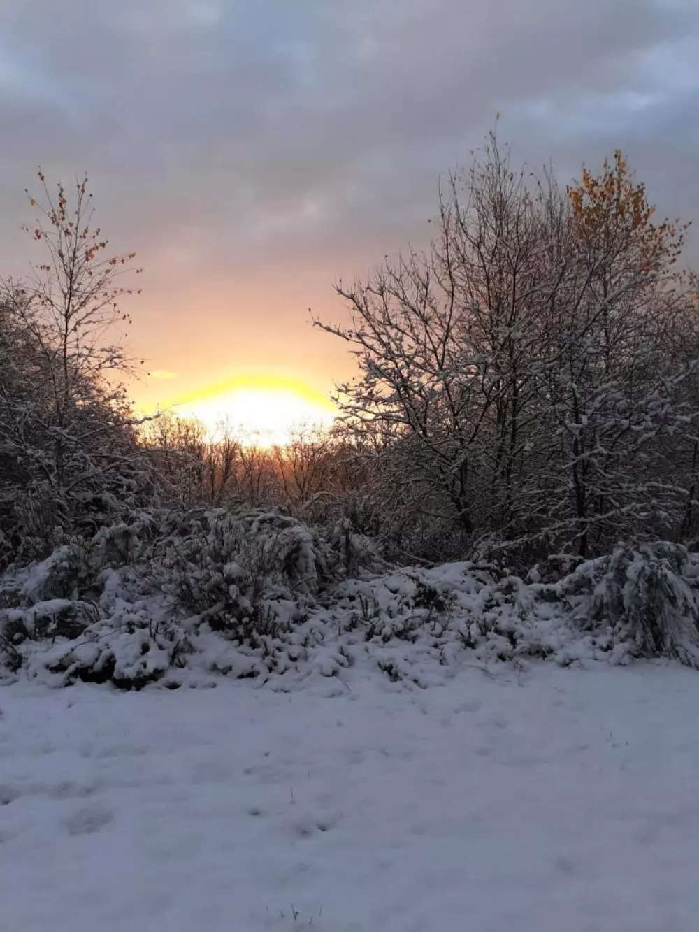 Gîte de France à Saint-Yrieix-le-Déjalat 3 épis