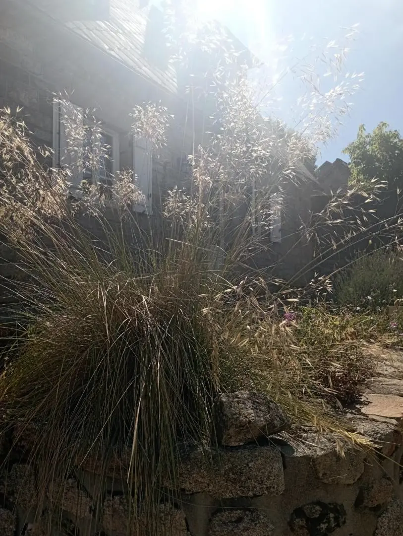 Gîte de France Gîte des veyssières 3 épis