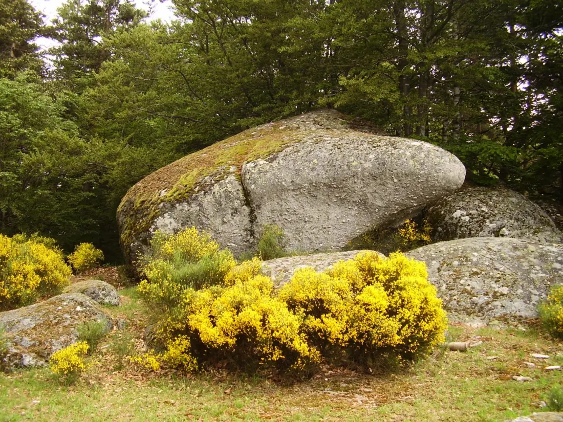 Gîte de France Gîte bienvenue à couffinet 3 épis