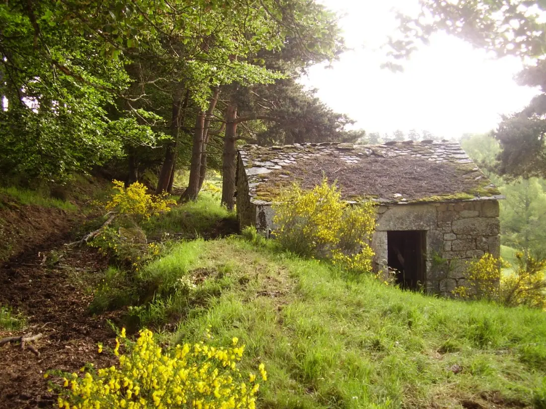 Gîte de France Gîte bienvenue à couffinet 3 épis