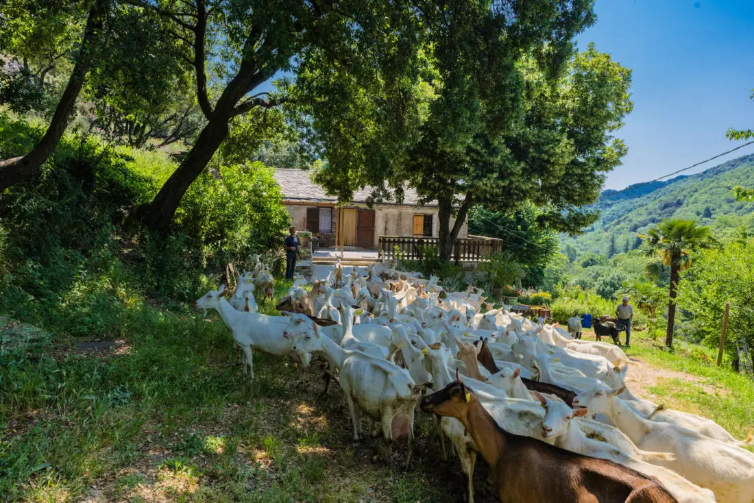 Gîte de France Gîtes de france 4/6 personnes à campéménard 2 épis