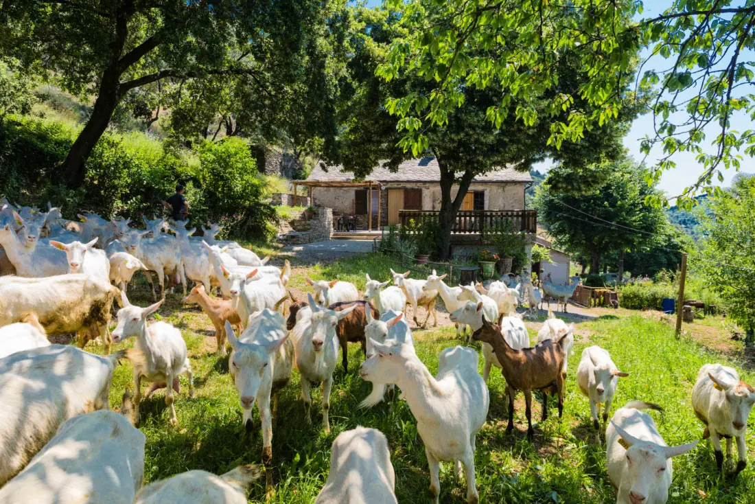 Gîte de France Gîtes de france 4/6 personnes à campéménard 2 épis